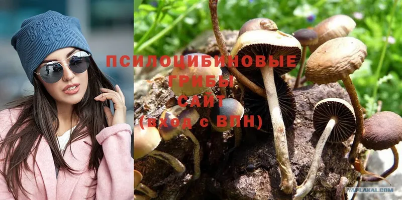 Псилоцибиновые грибы Magic Shrooms  наркота  Челябинск 